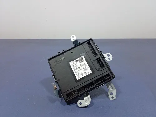 95400R2010 KIA Sportage Comfort/convenience module