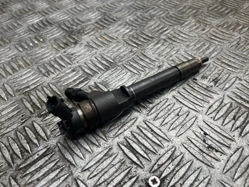 0445110250 Ford Ranger Fuel injector