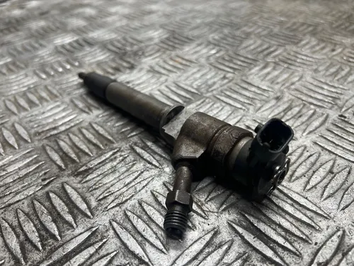 0445110250 Ford Ranger Fuel injector