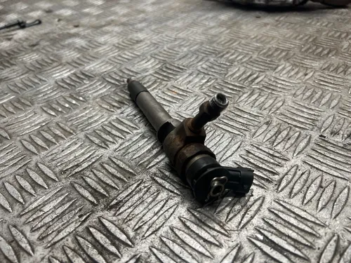 0445110250 Ford Ranger Fuel injector