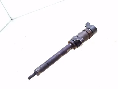 B445117859 Ford Focus Fuel injector