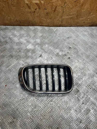 10627110 BMW X3 F25 Front grill
