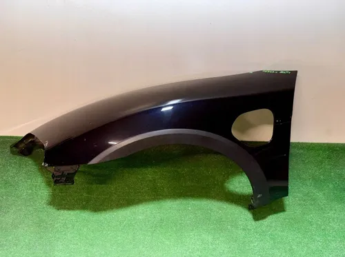Porsche Taycan 9J1 Fender