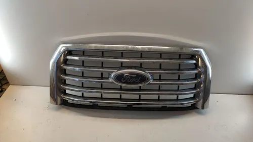 FL348200 Ford F150 Front grill