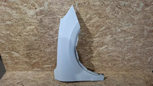 Porsche Cayenne (9Y0 9Y3) Fender