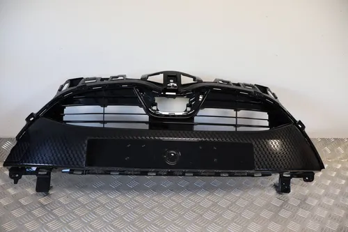 53101-0DG61 Toyota Yaris XP210 Front grill