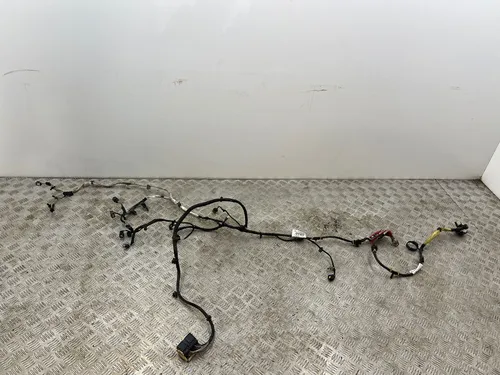 JX6T14305 Ford Focus Other wiring loom