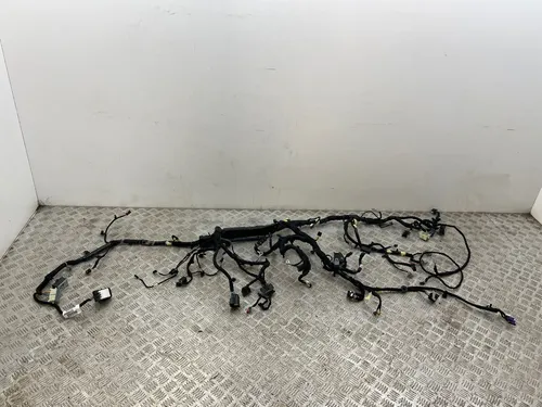JX6T92JA80625 Ford Focus Other wiring loom