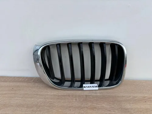 51117338572 BMW X3 F25 Front grill