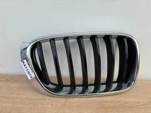 106271-10 BMW X3 F25 Front grill