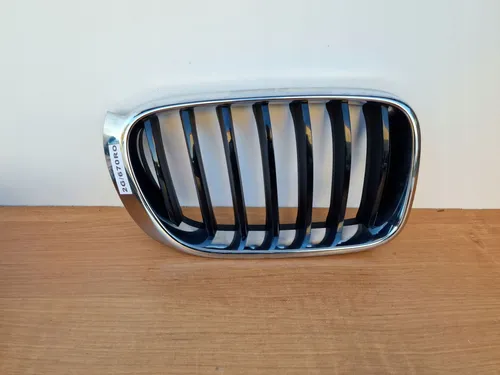 51117338572 BMW X3 F25 Front grill