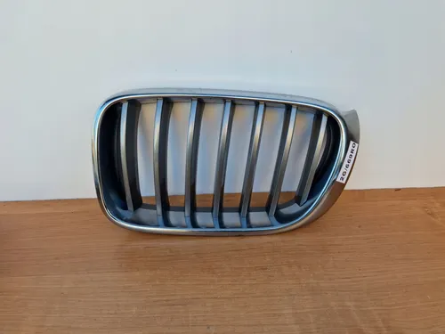 51117210725 BMW X3 F25 Front grill
