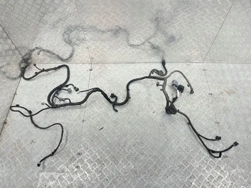 240144298S Renault Captur II Other wiring loom