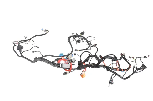 P248905808B Tesla Model Y Other wiring loom