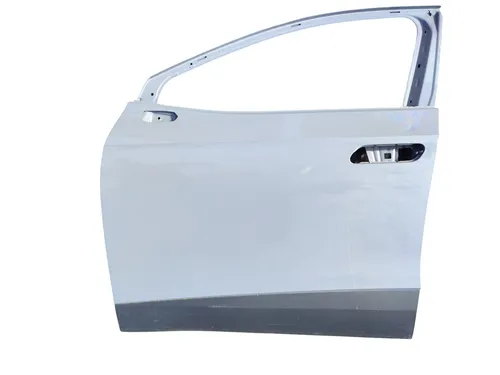 11A831311 Volkswagen ID.4 Front door