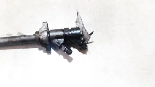 0445110239 Ford Focus Fuel injector