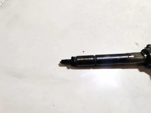 0445110259 Volvo V50 Fuel injector