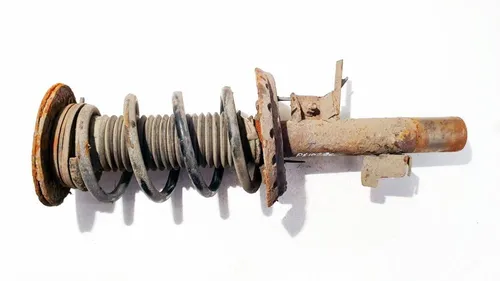 6g9118k001abj Ford S-MAX Front shock absorber/damper