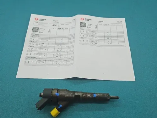 0445110008 Peugeot Partner Fuel injector