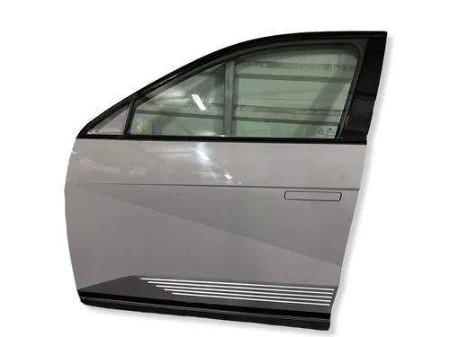 76003GI100 Hyundai Ioniq 5 Front door