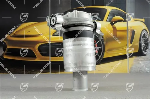 95835850315 Porsche Cayenne (92A) Front shock absorber/damper