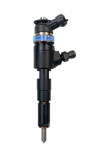 0445110135 Citroen C3 Fuel injector