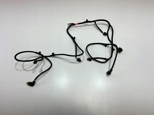 106795900D Tesla Model 3 Other wiring loom