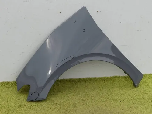 10A821105 Volkswagen ID.3 Fender