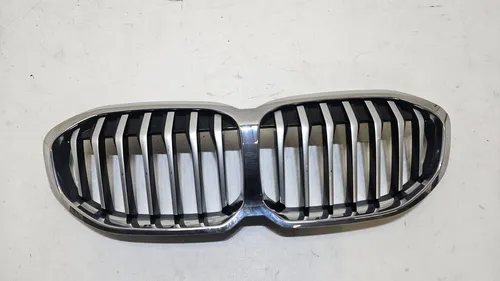 7450959 BMW 1 F40 Front grill