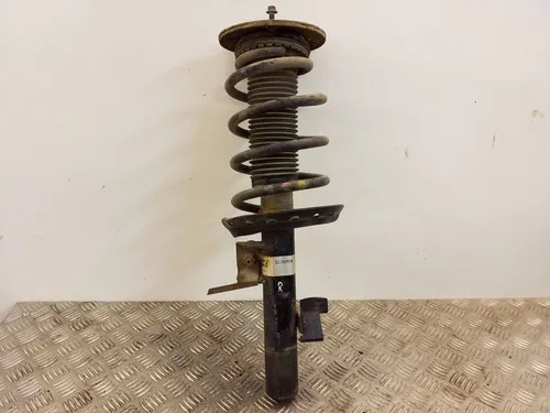 22182876 Ford S-MAX Front shock absorber/damper