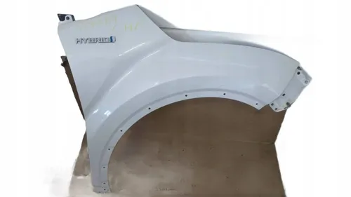 PTS4959 Toyota C-HR I Fender