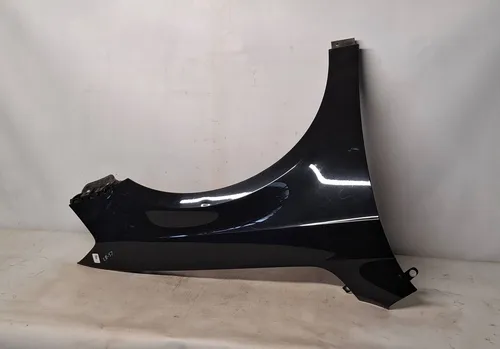 3AA821106 Volkswagen PASSAT B7 Fender