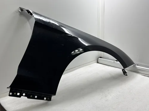 16028AD Ford Mustang VI Fender