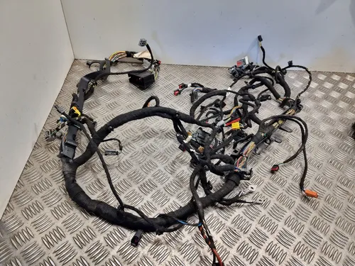 GK2T14K024BEC Ford Transit Custom Other wiring loom