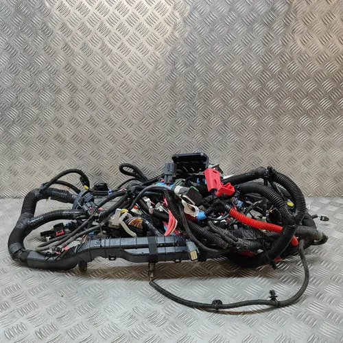 101558500A Tesla Model Y Other wiring loom