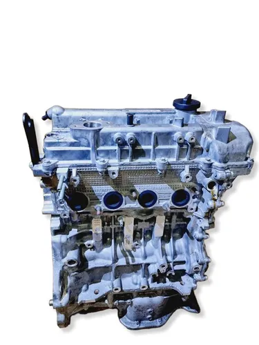 109T103S00 KIA Niro Engine